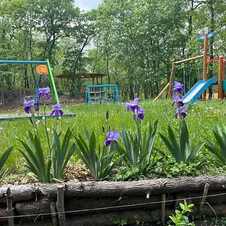 Bellevue Dom wakacyjny