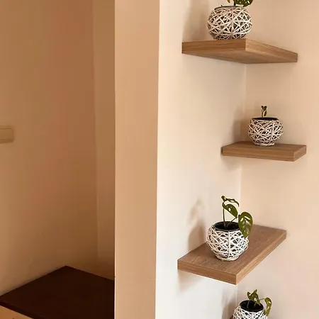 Bellevue Dom wakacyjny Złote Piaski