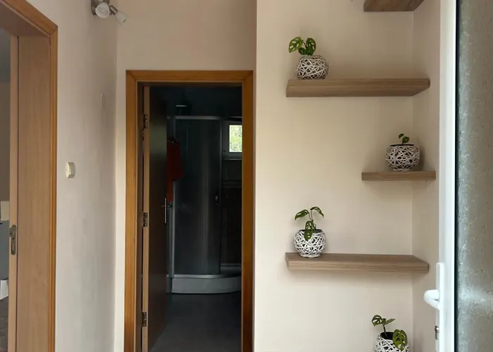 Bellevue Holiday home *